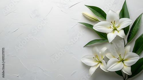 Elegant Funeral Program Template with White Background and Lily