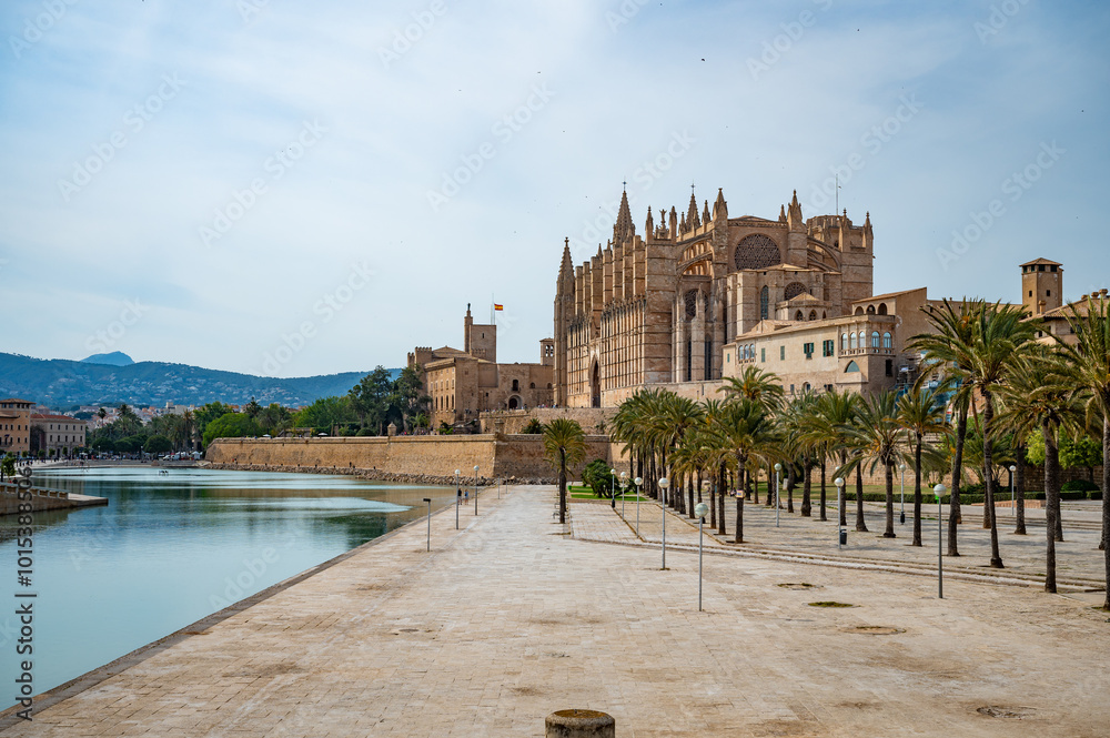 Cathedral of Santa Maria of Palma La Seu in Palma de Mallorca back side of the cathedrale with lake and park, wide angle shot, majorca Cathedral of Santa Maria of Palma La Seu in Palma de Mallorca back side of the cathedrale with lake and park, wide angle shot, majorca