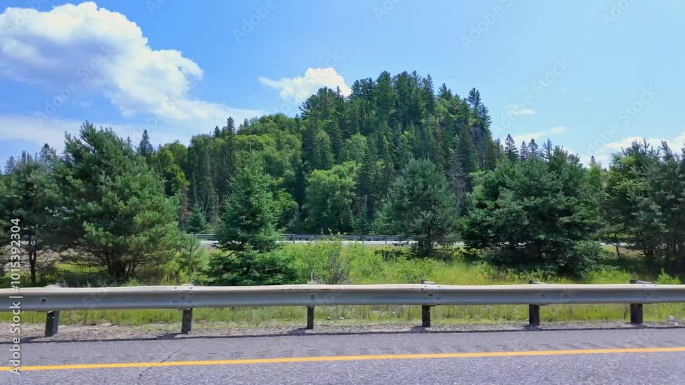 Driving plate front left side driver point of view. Car pov. Driver window side driving view. ON-11, Burk's Falls, Pickerel Lake POV driving on Ontario Highway 11 passing lush green forests.