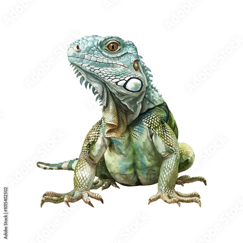 iguana vector illustration in watercolor style