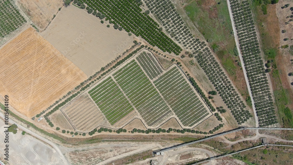 Fototapeta premium allevamento di lumace in campagna visto dall'alto con un drone