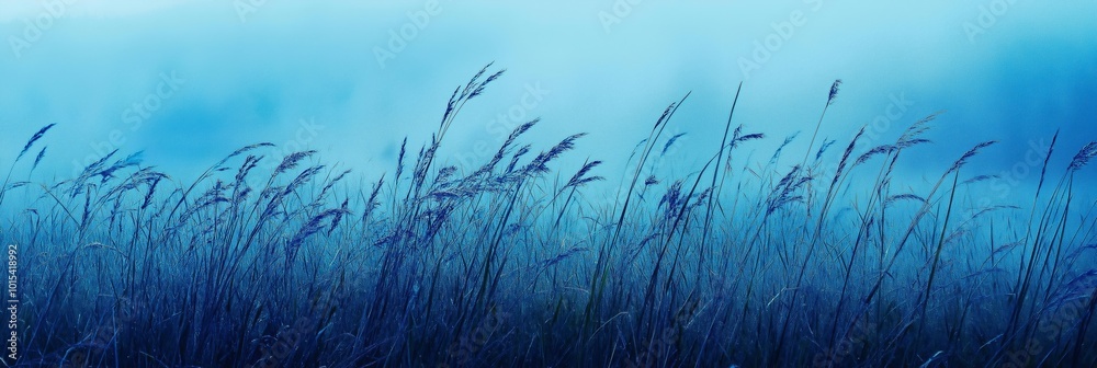 Fototapeta premium A field of grass with a blue sky in the background. The grass is wet and the sky is clear