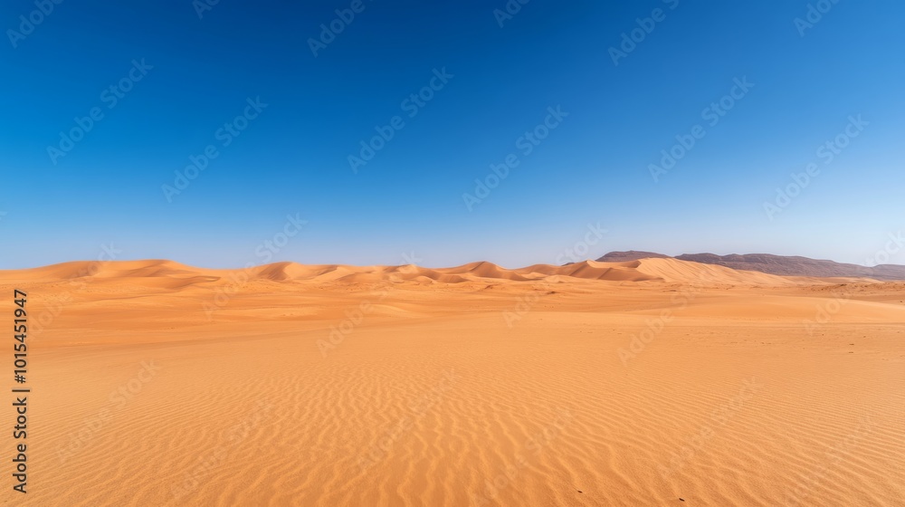 A panoramic view showcases expansive sand dunes under a clear blue sky. The curvature of the dunes and the play of shadows enhance the sense of tranquility in this pristine desert A panoramic view showcases expansive sand dunes under a clear blue sky. The curvature of the dunes and the play of shadows enhance the sense of tranquility in this pristine desert