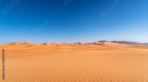 A panoramic view showcases expansive sand dunes under a clear blue sky. The curvature of the dunes and the play of shadows enhance the sense of tranquility in this pristine desert