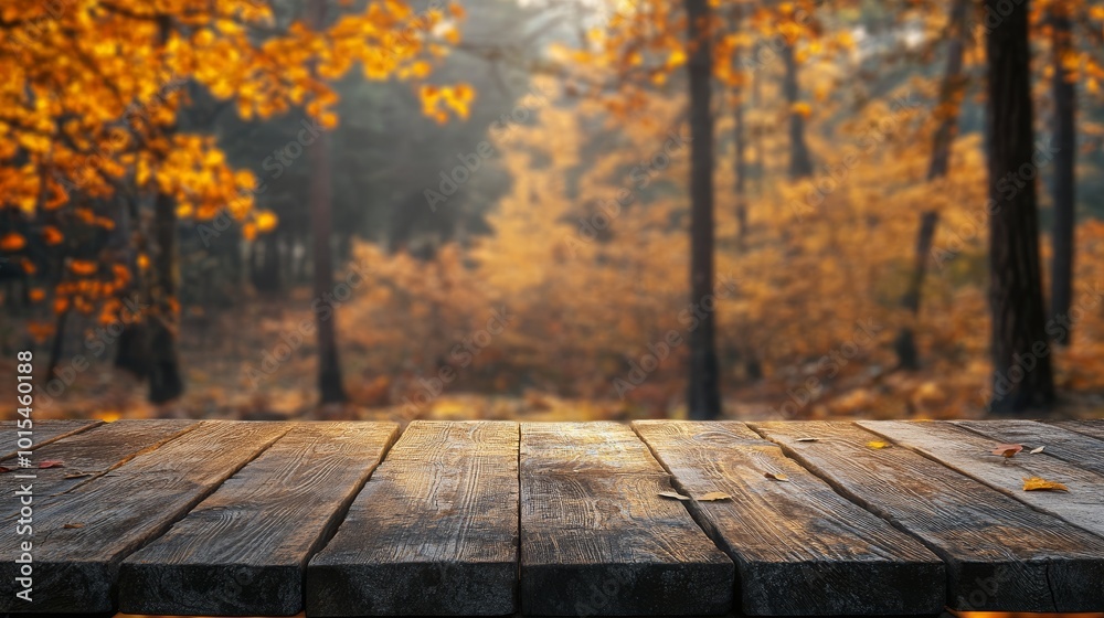 Fall background. Wooden table top in autumn forest Fall background. Wooden table top in autumn forest