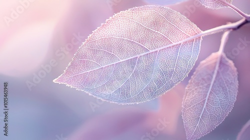   A detailed view of a tree branch's leaf