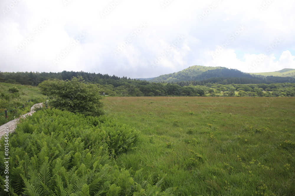 Obraz premium 自然 風景