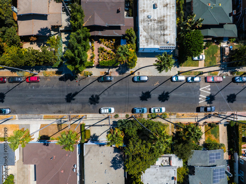 Aerial perspective of a Los Angeles street lined with parked cars, diverse houses, and tall palm trees casting shadows, highlighting suburban architecture. photo