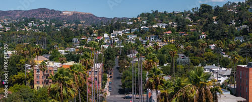 The image captures the Hollywood district in Los Angeles, featuring the Hollywood Hills and Sign. A tree lined street with palm trees is in the foreground.