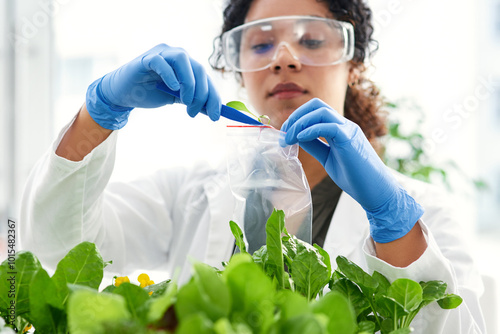 Science, plant sample and woman in lab for research, biology and ecology study with bag. Pharmaceutical, agriculture and person with leaf for sustainable, organic and natural medicine development