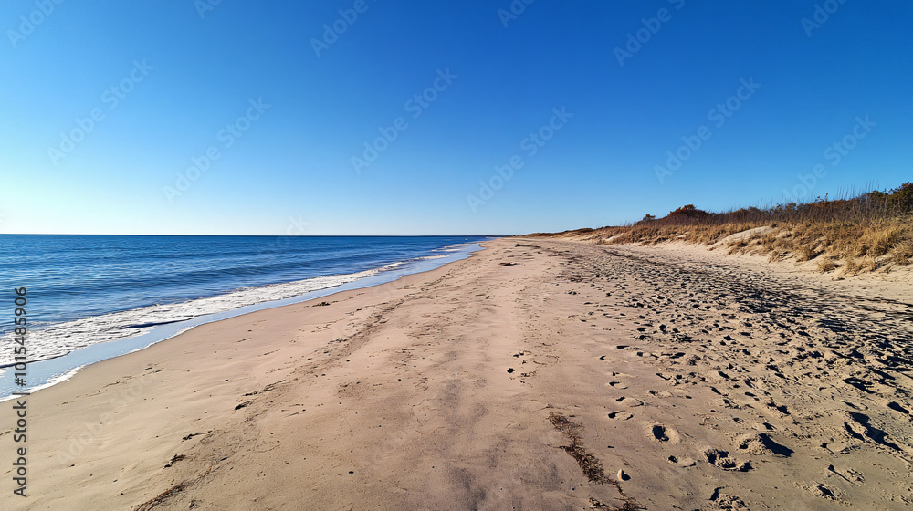A wide beach with golden sand stretching as far as the eye can see under a clear blue sky. A wide beach with golden sand stretching as far as the eye can see under a clear blue sky.