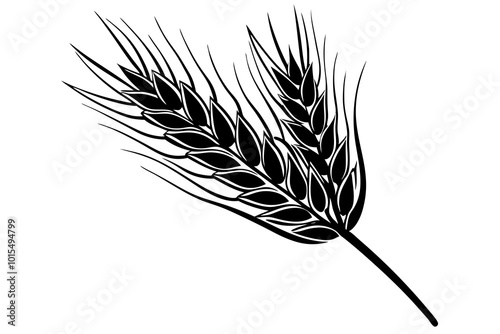  Wheat silhouette minimalistic vector art illustration