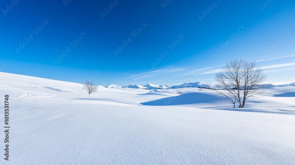 Experience the tranquility of a pristine winter wonderland featuring smooth, untouched snow, gently rolling hills, and a few distant bare trees against a bright blue sky Experience the tranquility of a pristine winter wonderland featuring smooth, untouched snow, gently rolling hills, and a few distant bare trees against a bright blue sky