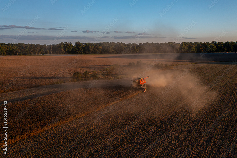 Fototapeta premium harvester in field at sunset