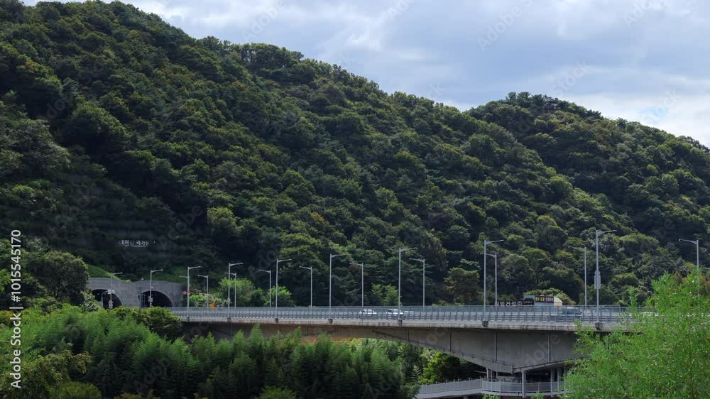 Traffic Flowing Across National Garden Bridge into Hillside Tunnel Traffic Flowing Across National Garden Bridge into Hillside Tunnel