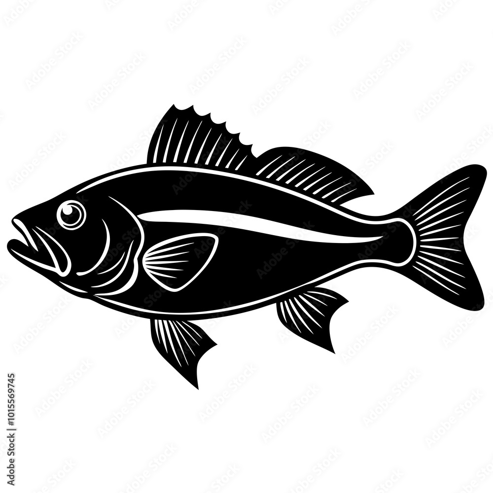 Croaker silhouette vector on white background Croaker silhouette vector on white background