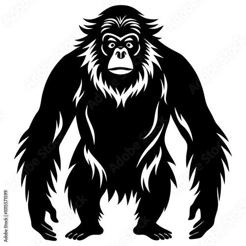 Orangutan vector silhouette photo