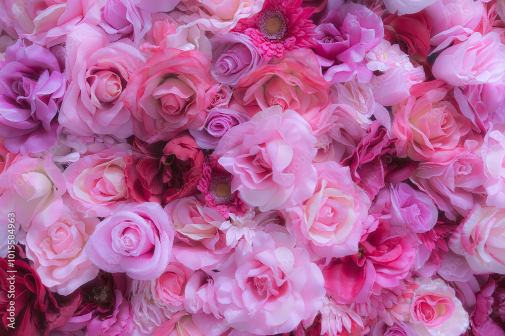 【バラ】色とりどりの薔薇の絨毯 【バラ】色とりどりの薔薇の絨毯