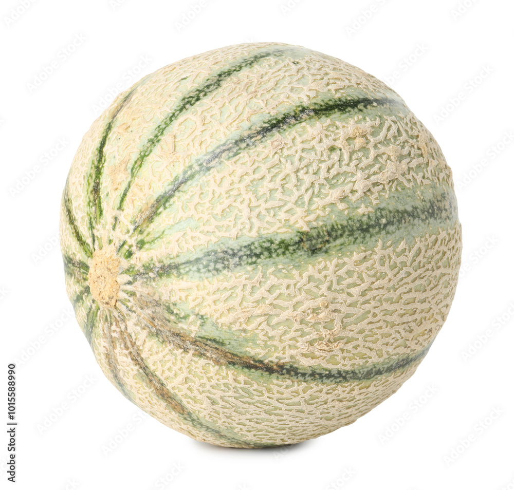 One whole Cantaloupe melon isolated on white One whole Cantaloupe melon isolated on white