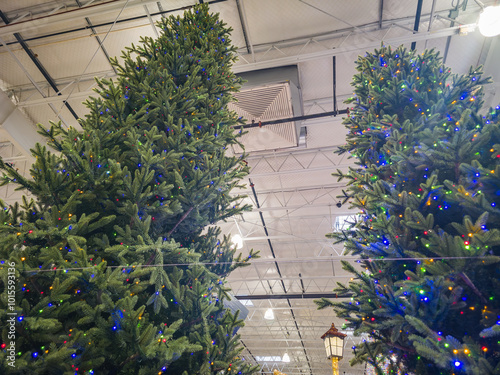 Cheistmas trees with colored lights inside of a warehouse store photo