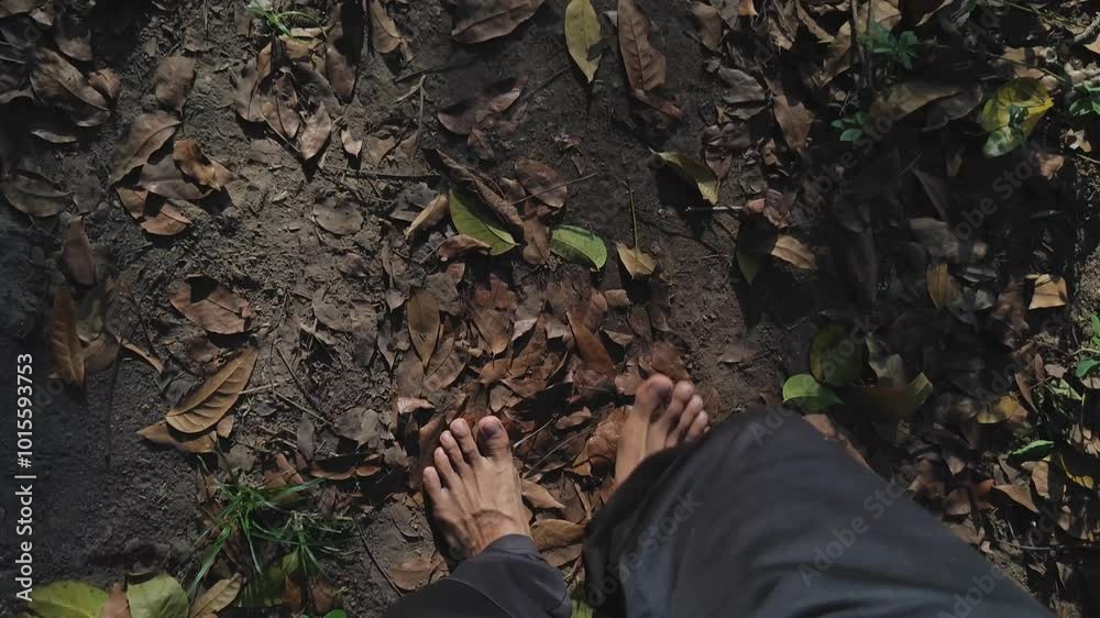 A man walks barefoot in a tropical rainforest in the morning. Dry foliage falls on the ground. Walk in the wild A man walks barefoot in a tropical rainforest in the morning. Dry foliage falls on the ground. Walk in the wild