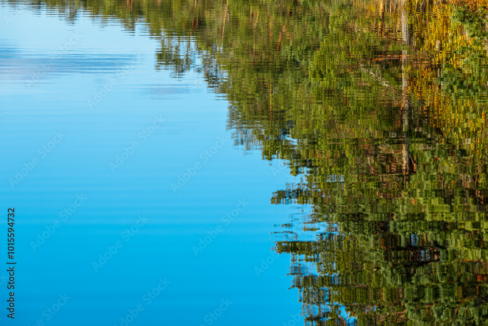 A serene reflection of a dense forest on the surface of a calm, blue lake. The water mirrors the trees perfectly, creating a tranquil and abstract view of nature. A serene reflection of a dense forest on the surface of a calm, blue lake. The water mirrors the trees perfectly, creating a tranquil and abstract view of nature.
