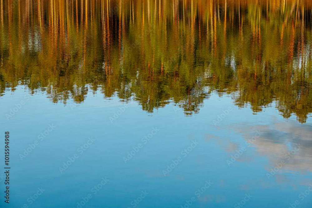 A serene reflection of a dense forest on the surface of a calm, blue lake. The water mirrors the trees perfectly, creating a tranquil and abstract view of nature. A serene reflection of a dense forest on the surface of a calm, blue lake. The water mirrors the trees perfectly, creating a tranquil and abstract view of nature.
