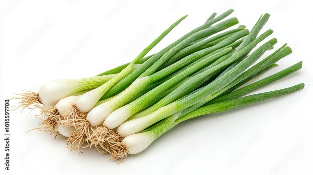 A bunch of fresh green onions with roots, isolated on a white background. A bunch of fresh green onions with roots, isolated on a white background.