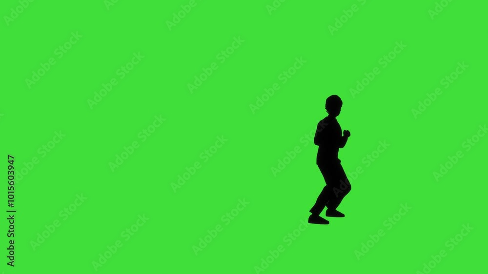 An animated silhouette of a character performing a martial arts jump spinning crescent kick with a green screen background. The scene captures acrobatic precision and power. An animated silhouette of a character performing a martial arts jump spinning crescent kick with a green screen background. The scene captures acrobatic precision and power.