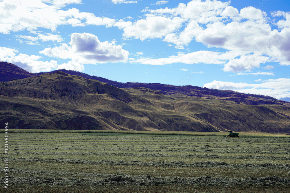 Fototapeta premium Desert Farming