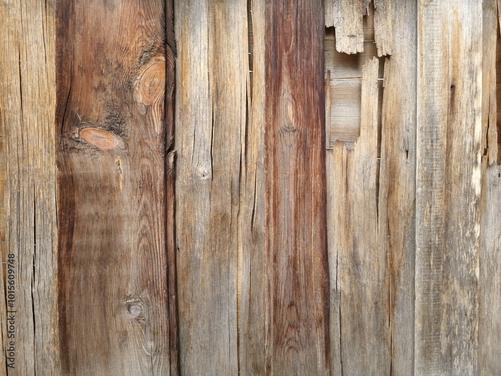 Fototapeta premium Wooden background. Old wooden fence boards close up