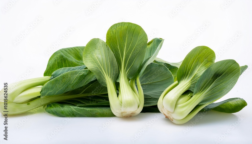 Bok choy on white background. Bok choy Isolated. Bok choy on white background. Bok choy Isolated.