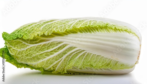 Napa cabbage on white background. Napa cabbage Isolated.