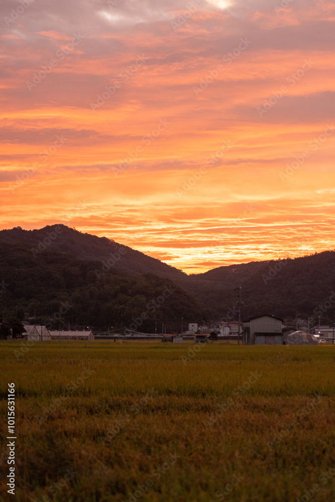 Obraz premium 明け方の空