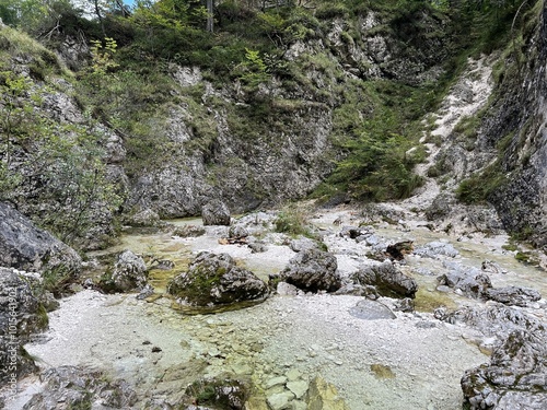 The Suhi potok Stream or Dry Creek in Zadnja Trenta, Bovec (Triglav National Park, Slovenia) - Der Bach Suhi potok in Zadnja Trenta (Triglav-Nationalpark, Slowenien) - Suhi potok (desni pritok Vrsnika photo