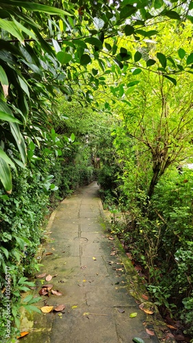 Narrow village street in Son island, Can Tho, Mekong Delta Vietnam in the morning.