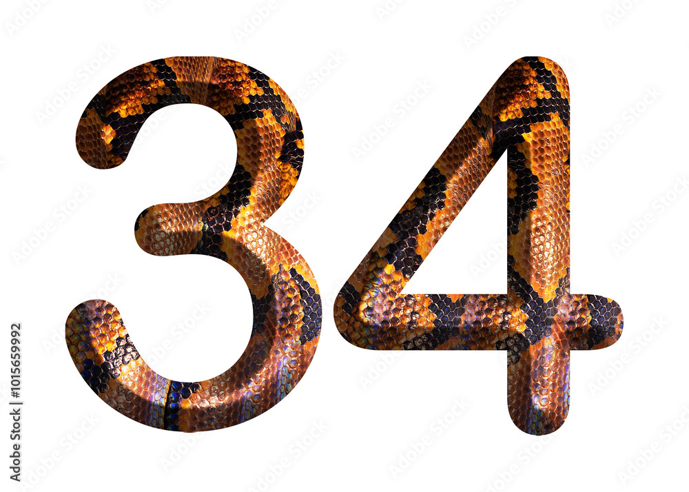 34, number shape with snake skin motif design, python skin. 34, number shape with snake skin motif design, python skin.