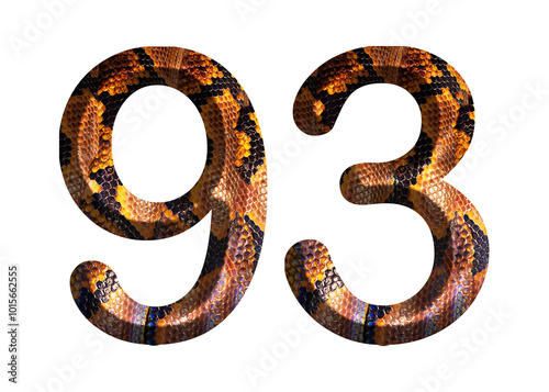 93, number shape with snake skin motif design, python skin.