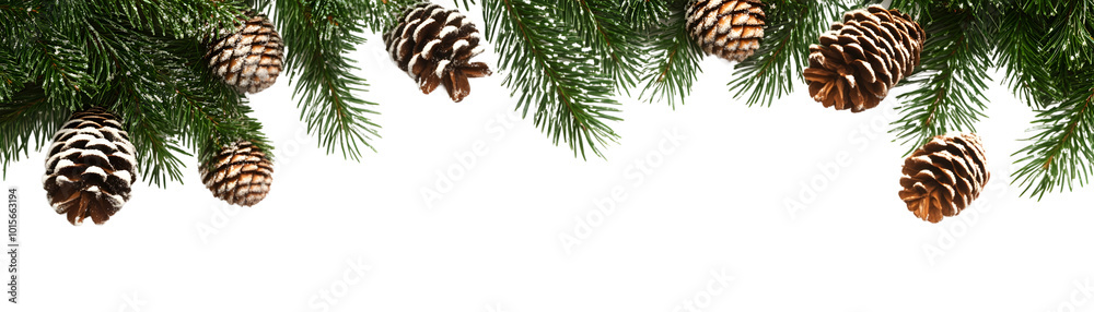 Pine branches with snow dusted cones create festive atmosphere Pine branches with snow dusted cones create festive atmosphere