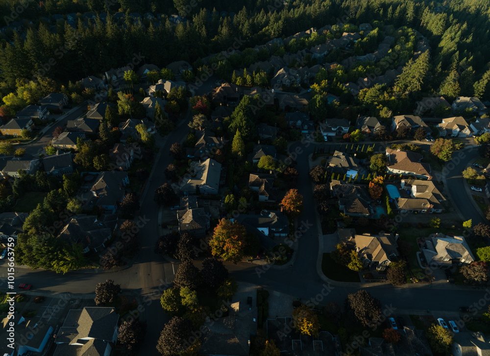 Fototapeta premium A residential area with houses and trees