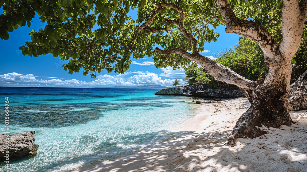 A beautiful beach with soft white sand and turquoise waters, ideal for relaxation.