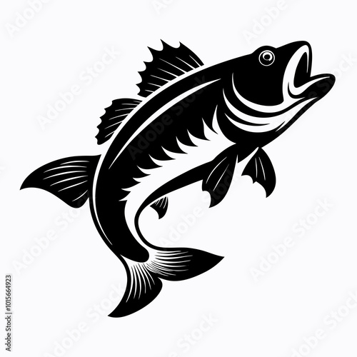 fish on a white