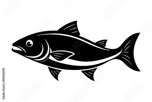 fish on a white background