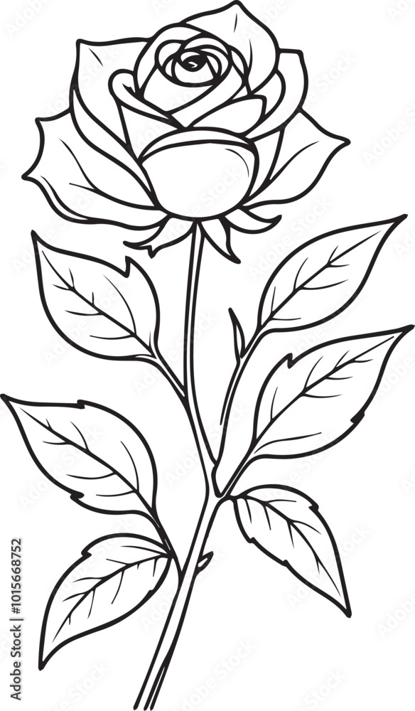 A vector illustration of a single elegant rose with curled rose leaves. A vector illustration of a single elegant rose with curled rose leaves.