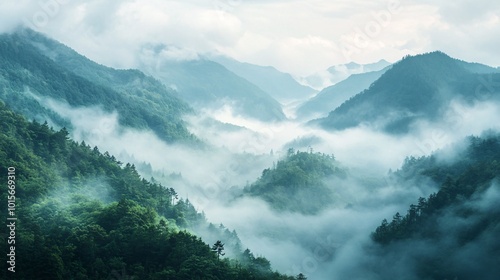 Misty Mountains with Rolling Fog and Dense Forests