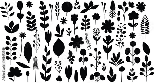 Leaves big vector collection. Set of graphical elements with various leaf designs in different shapes and sizes. Flat design. tree branches, eucalyptus, , herbs and flowers silhouettes