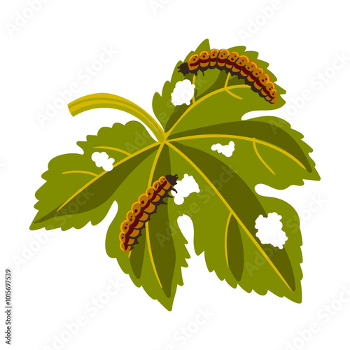 vector drawing caterpillars at green leaf , cutworms isolated at white background, garden pest, hand drawn illustration