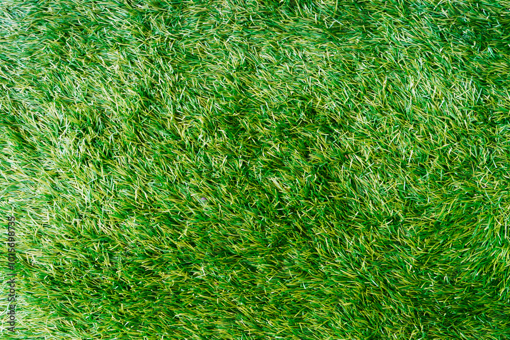 grass texture, ground texture, green background