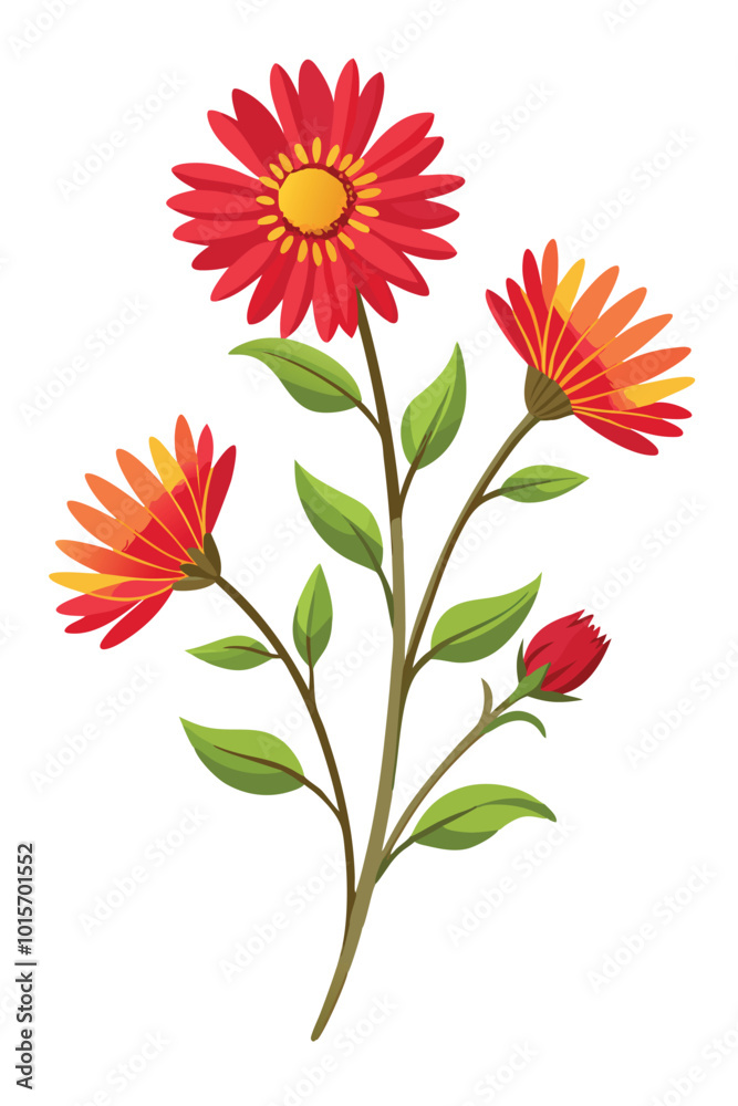Gaillardia Branch with Flowers Vector Illustration on White Background Botanical Artwork Floral Design
