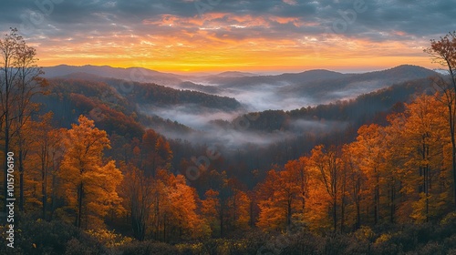 A stunning morning panorama reveals the forest cloaked in autumnal fog, with vibrant colors and the soft light of sunrise illuminating the hills.